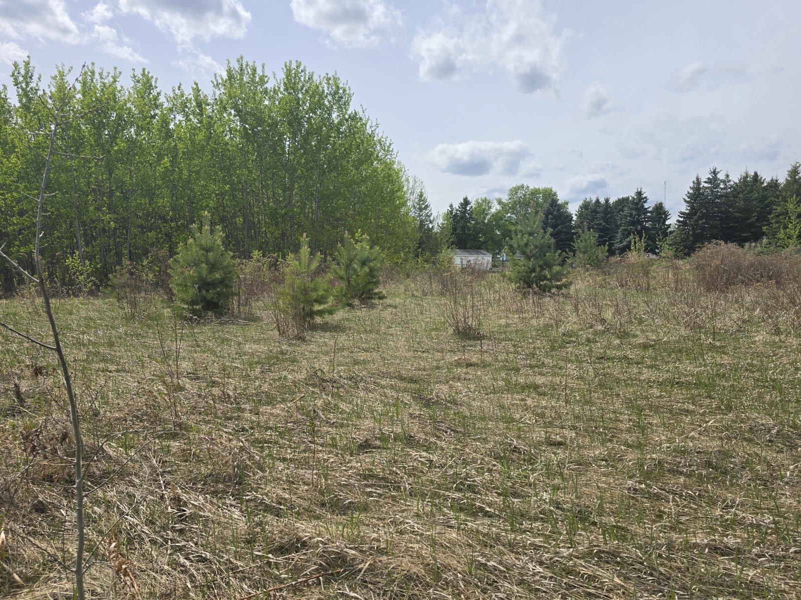 487 Lakeside Drive, Spring Lake, AB