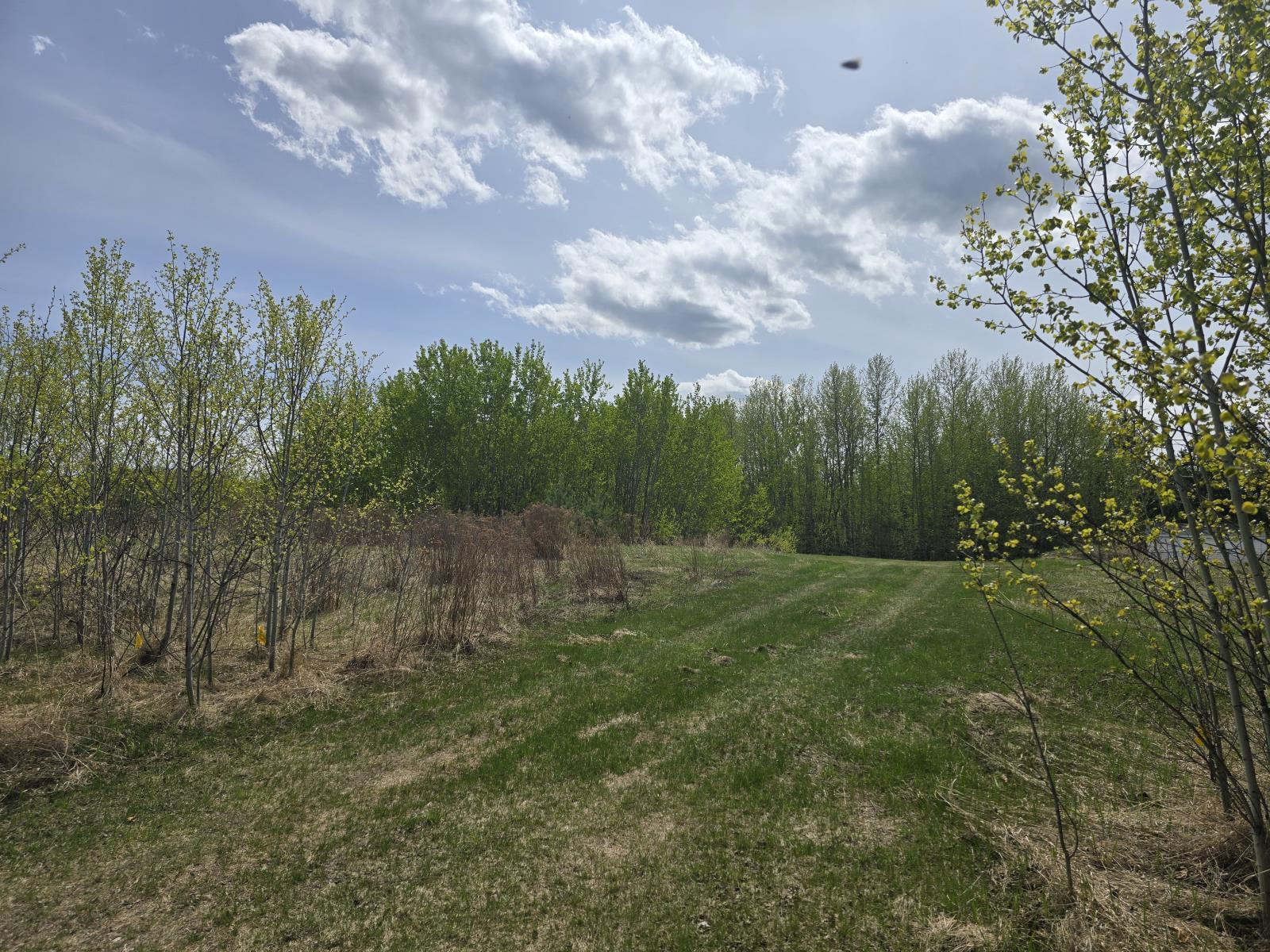 487 Lakeside Drive, Spring Lake, AB