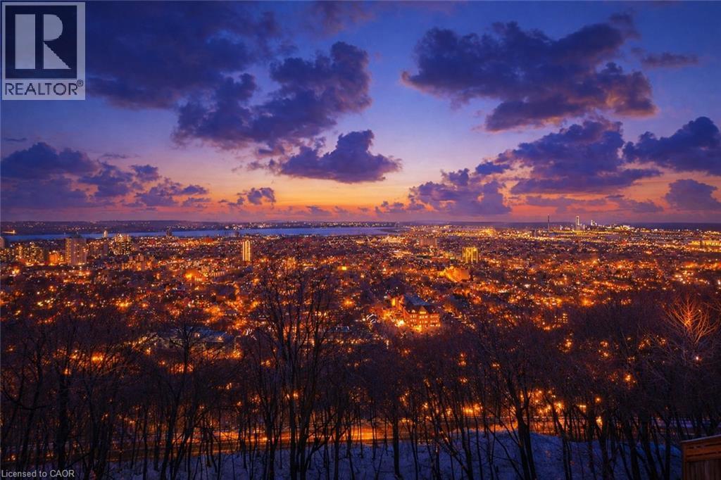 91 Mountain Park Avenue, Hamilton, ON - Outdoor With View