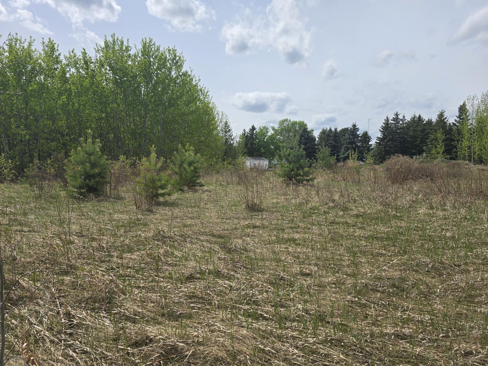 488 Lakeside Drive, Spring Lake, AB