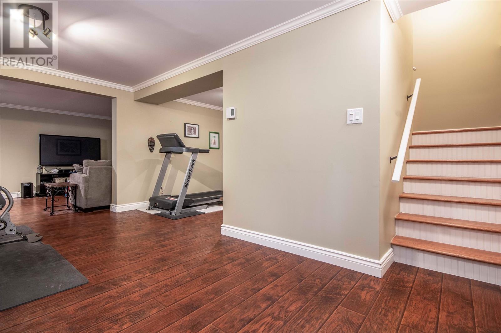 Basement Rec Room - 34 Blackstrap Path, Conception Bay South, NL - Indoor Photo Showing Gym Room