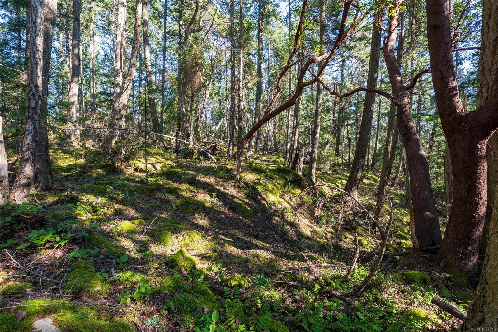 Lot 1 Old Scott Rd, Salt Spring, BC
