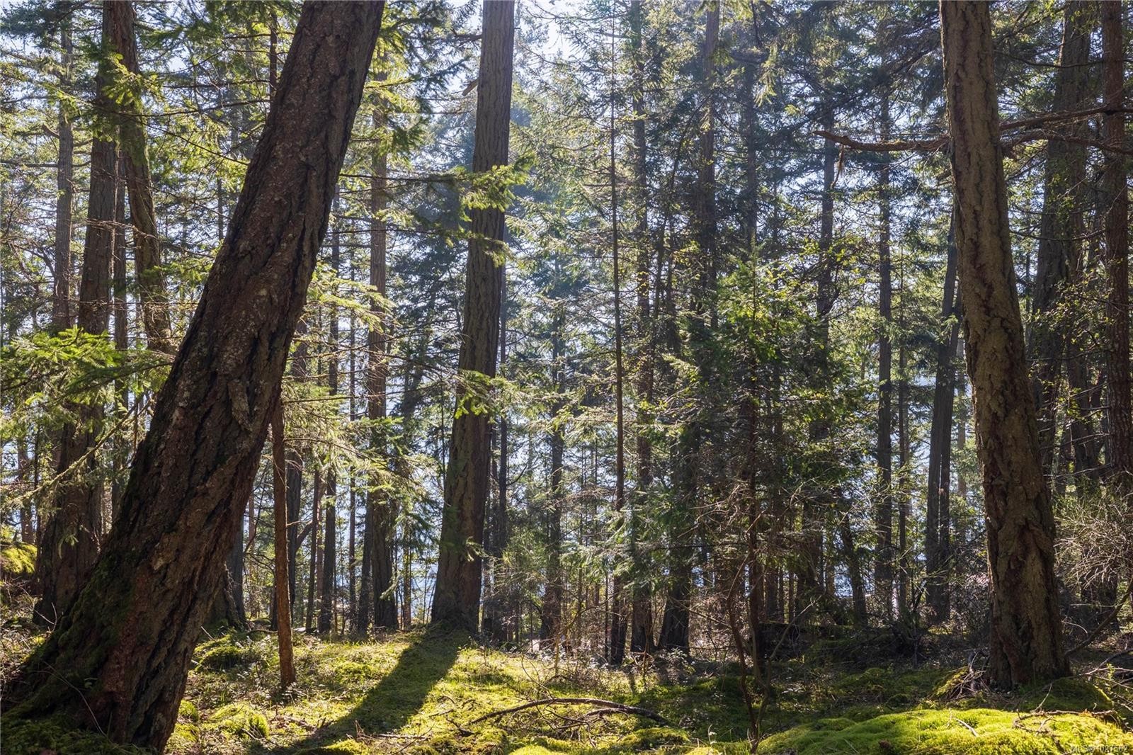 Lot 2 Old Scott Rd, Salt Spring, BC