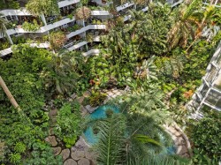 Aerial View - 