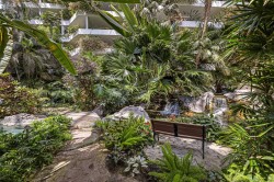 Garden - 