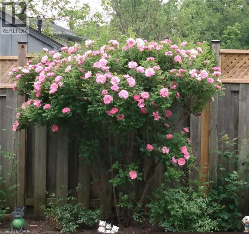 639 Rexford Drive, Hamilton, ON - Outdoor