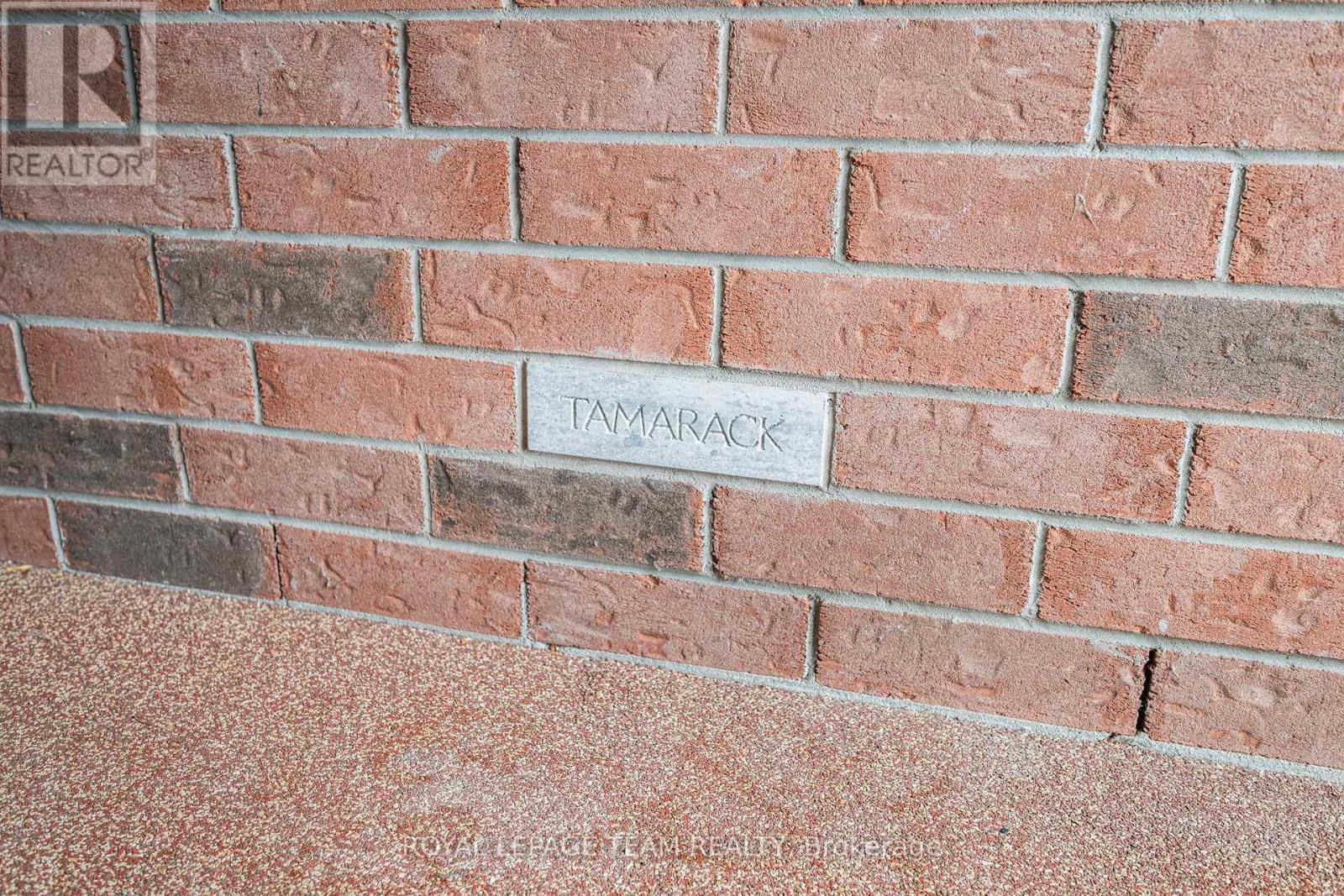 10 Quinterra Court, Ottawa, ON - Outdoor