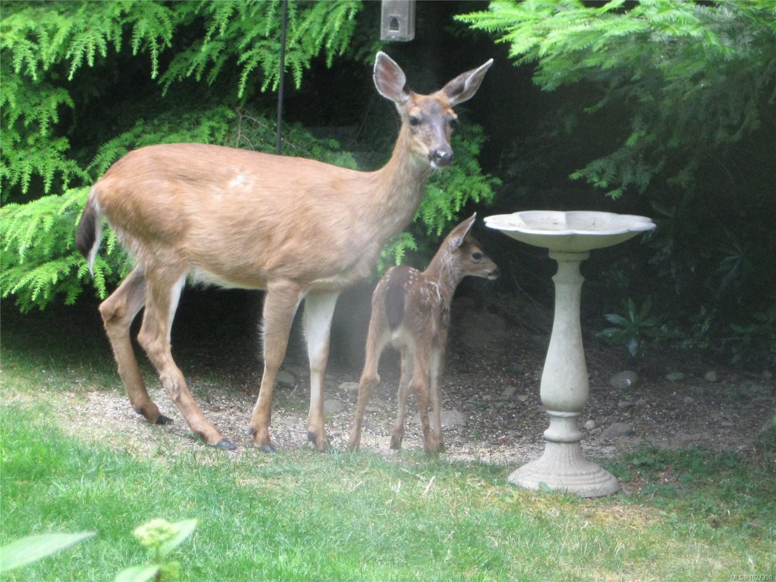 6280 Sooke Rd, Sooke, BC