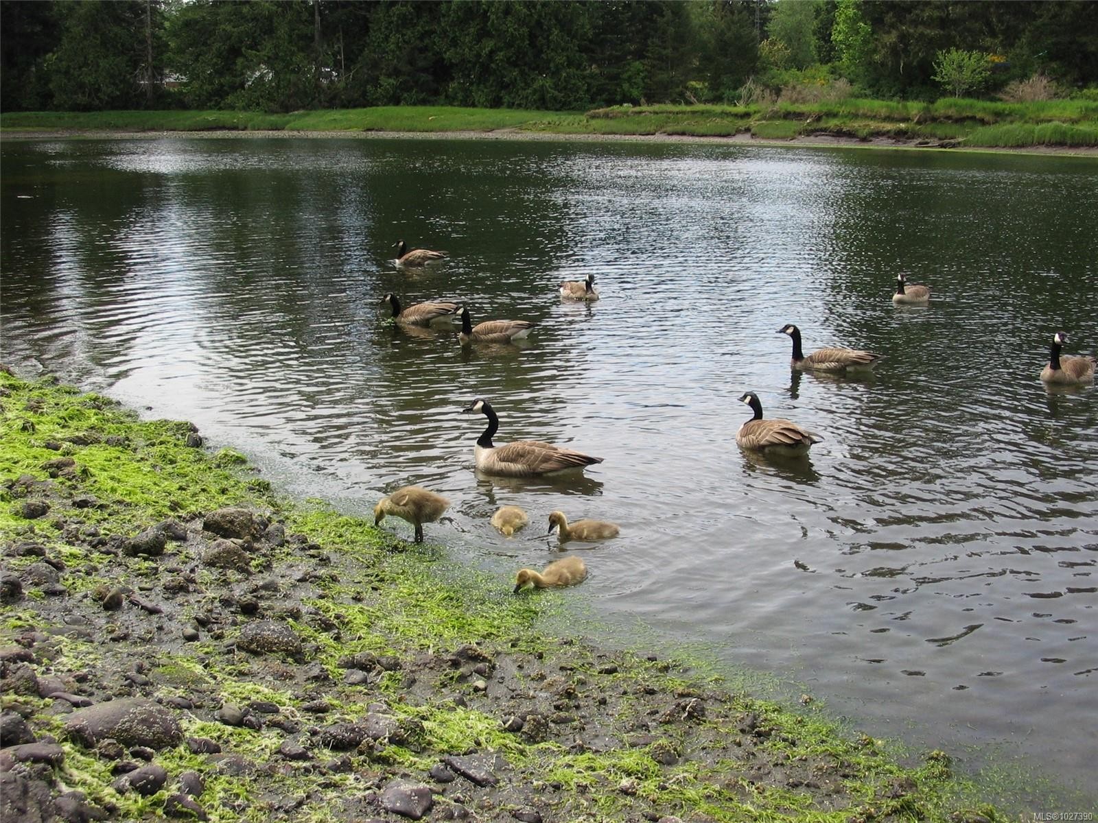 6280 Sooke Rd, Sooke, BC