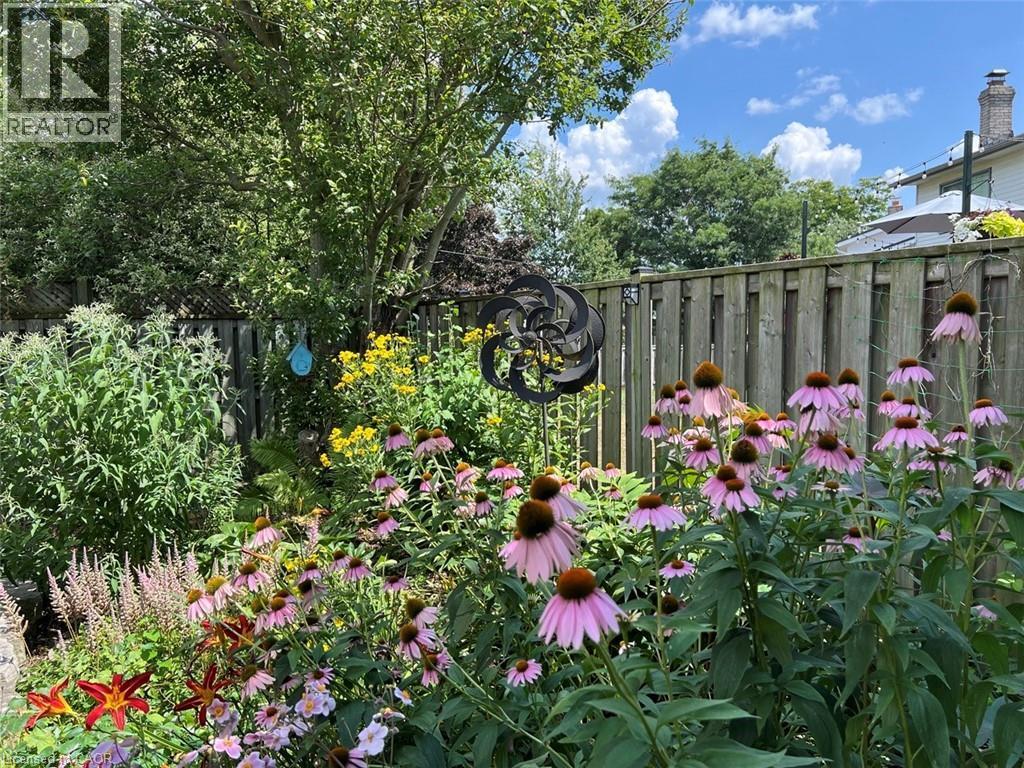 31 Cedar Crest Street, Kitchener, ON - Outdoor