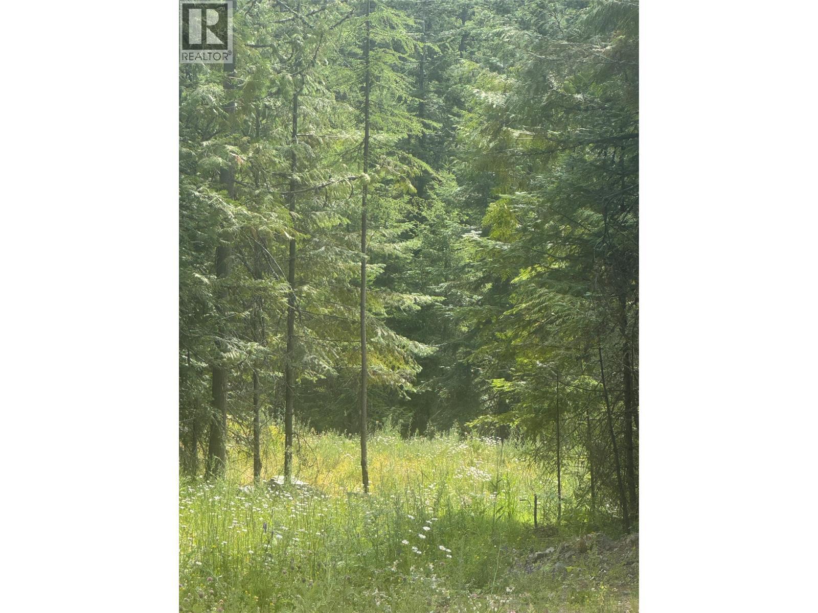 4018 Fumot Place, Bonnington, BC
