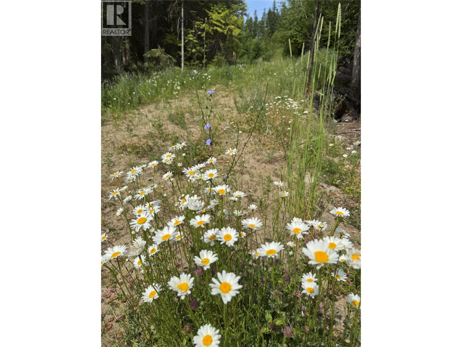 4018 Fumot Place, Bonnington, BC
