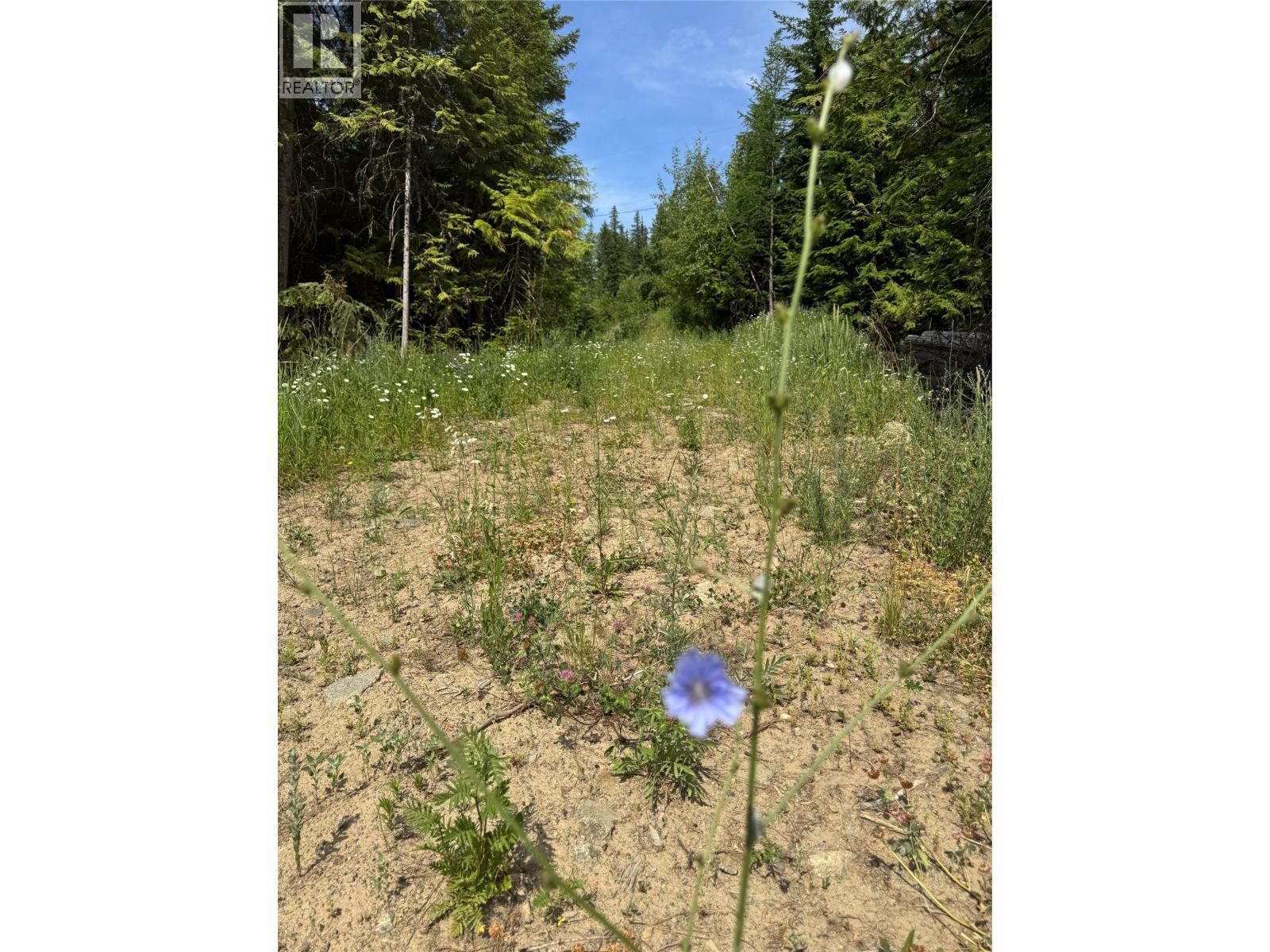 4018 Fumot Place, Bonnington, BC