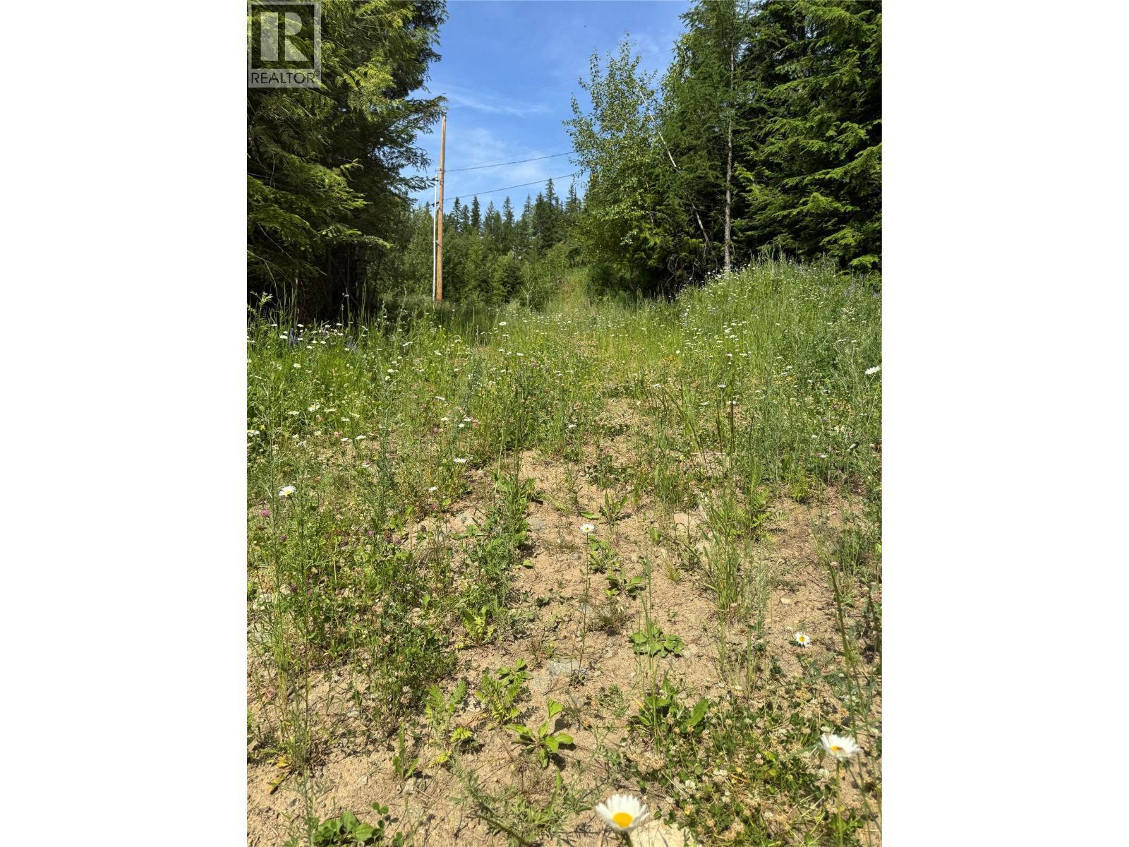 4018 Fumot Place, Bonnington, BC
