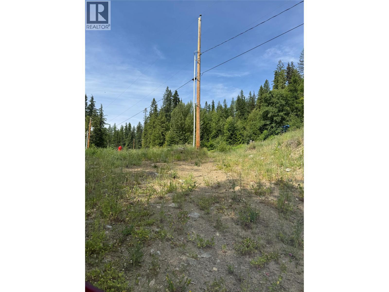 4018 Fumot Place, Bonnington, BC