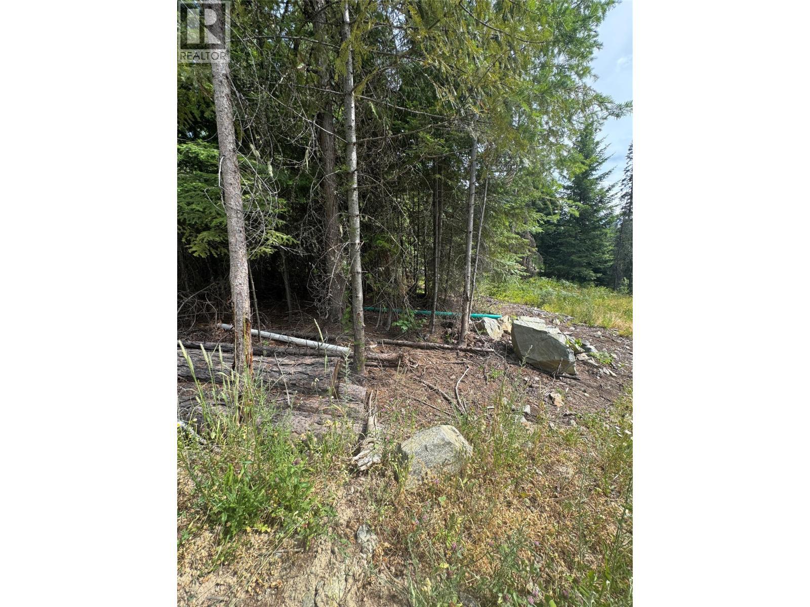 4018 Fumot Place, Bonnington, BC
