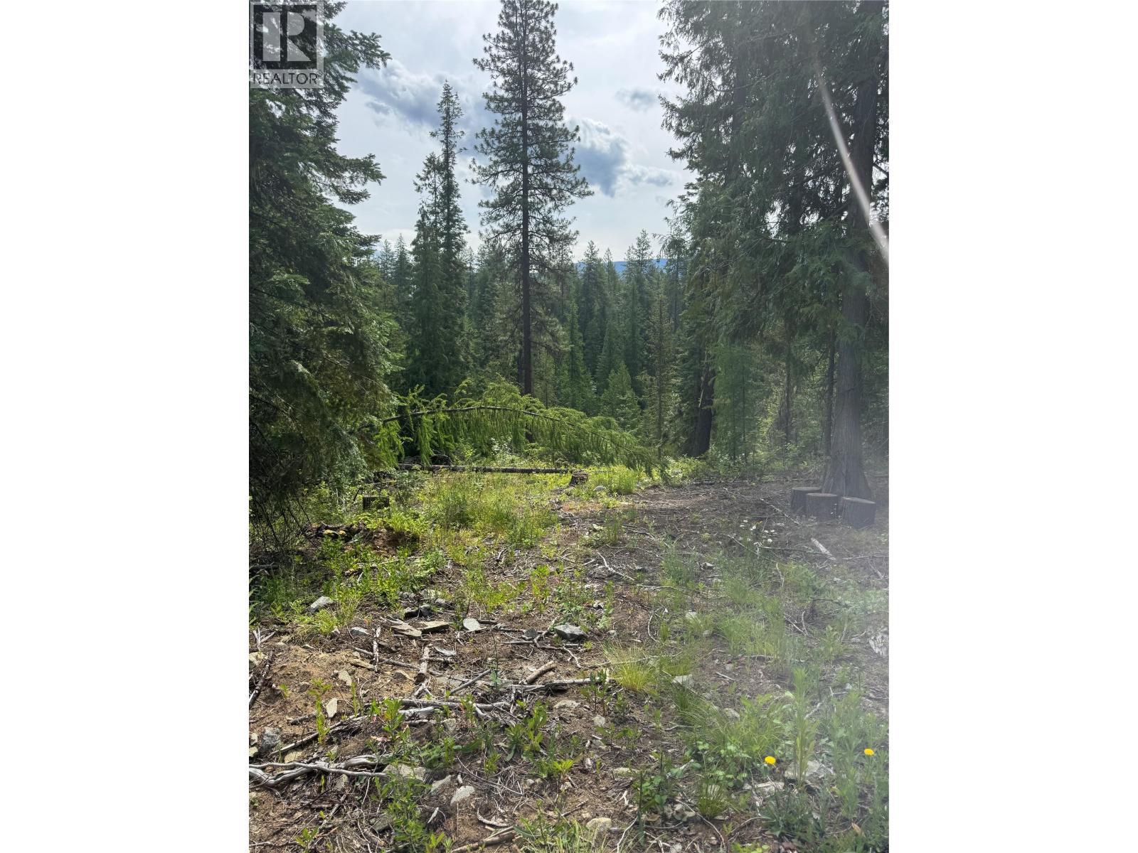 4018 Fumot Place, Bonnington, BC