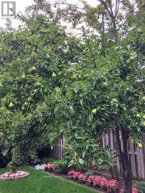 2132 Argon Court, Burlington, ON - Outdoor