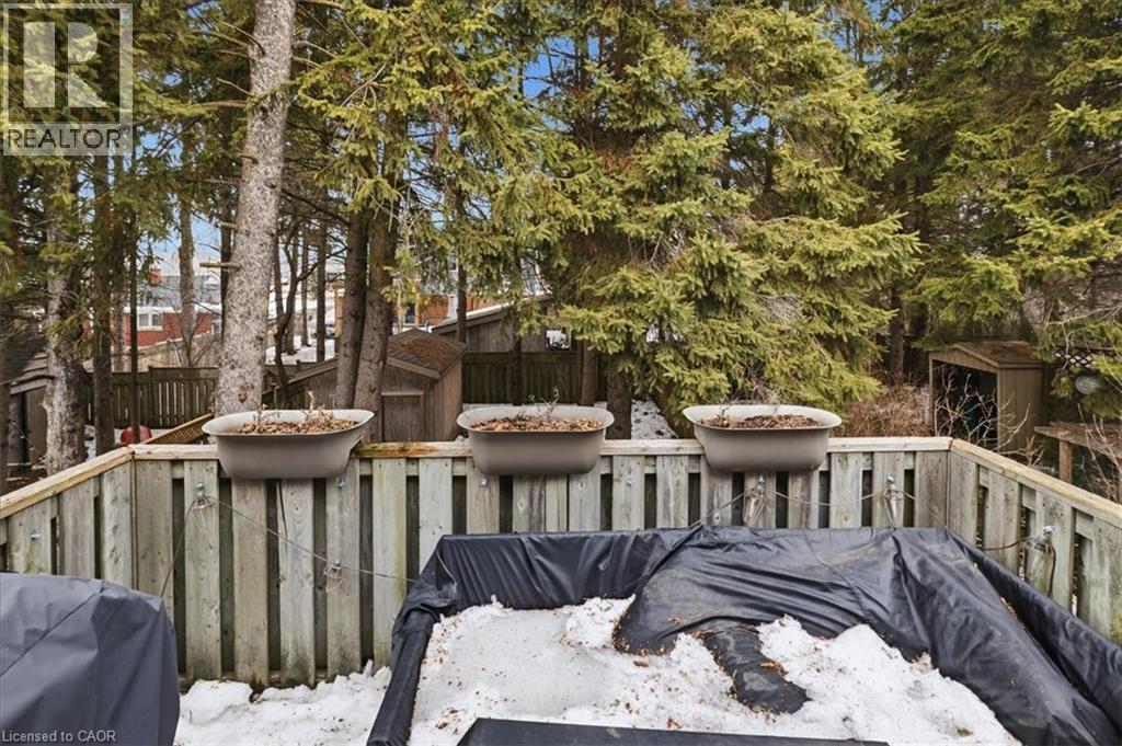 256 Grey Fox Drive, Kitchener, ON - Outdoor