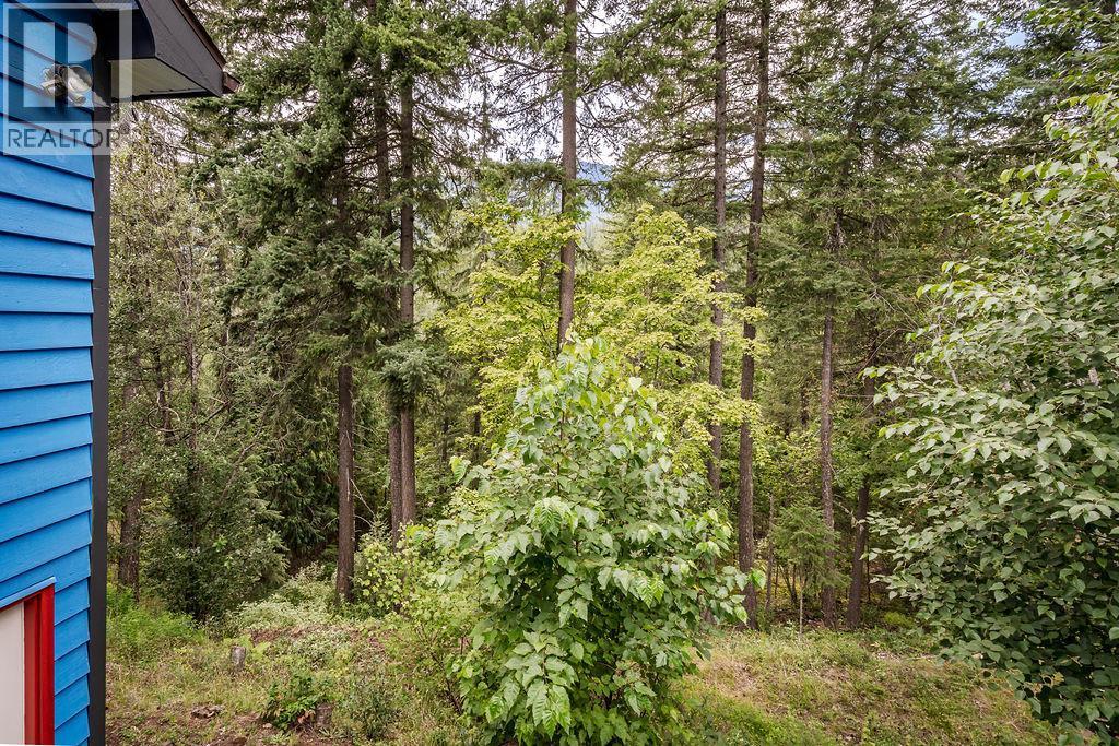 6051 Pine Ridge Road, Kaslo, BC - Outdoor