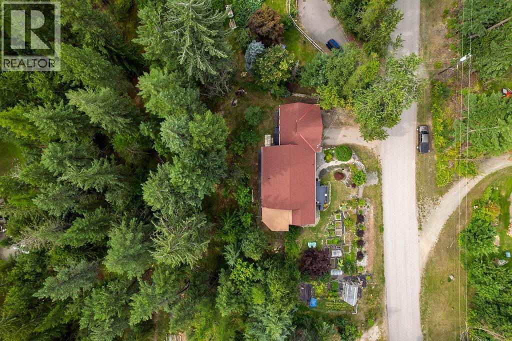6051 Pine Ridge Road, Kaslo, BC - Outdoor With View