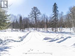 LOT 2 BROUSE ROAD Laurentian Hills, ON K0J 1P0