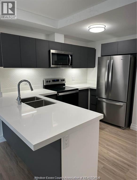 3290 Stella Crescent Unit# 108, Windsor, ON - Indoor Photo Showing Kitchen With Double Sink With Upgraded Kitchen
