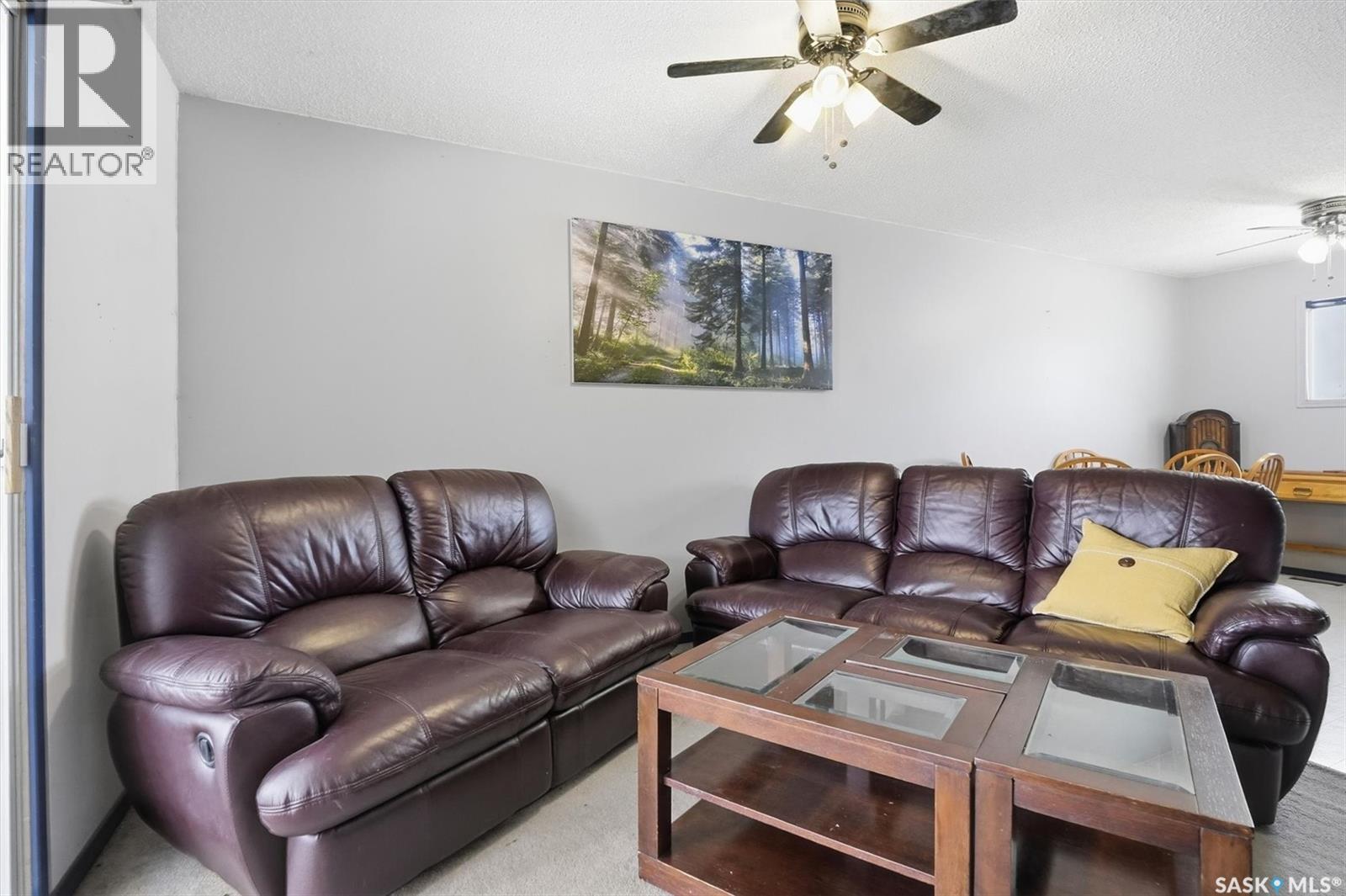 48 Procter Drive, Shields, SK - Indoor Photo Showing Living Room
