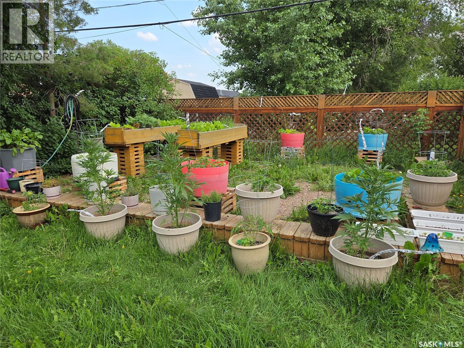 122 Main Street, Radisson, SK - Outdoor With Backyard