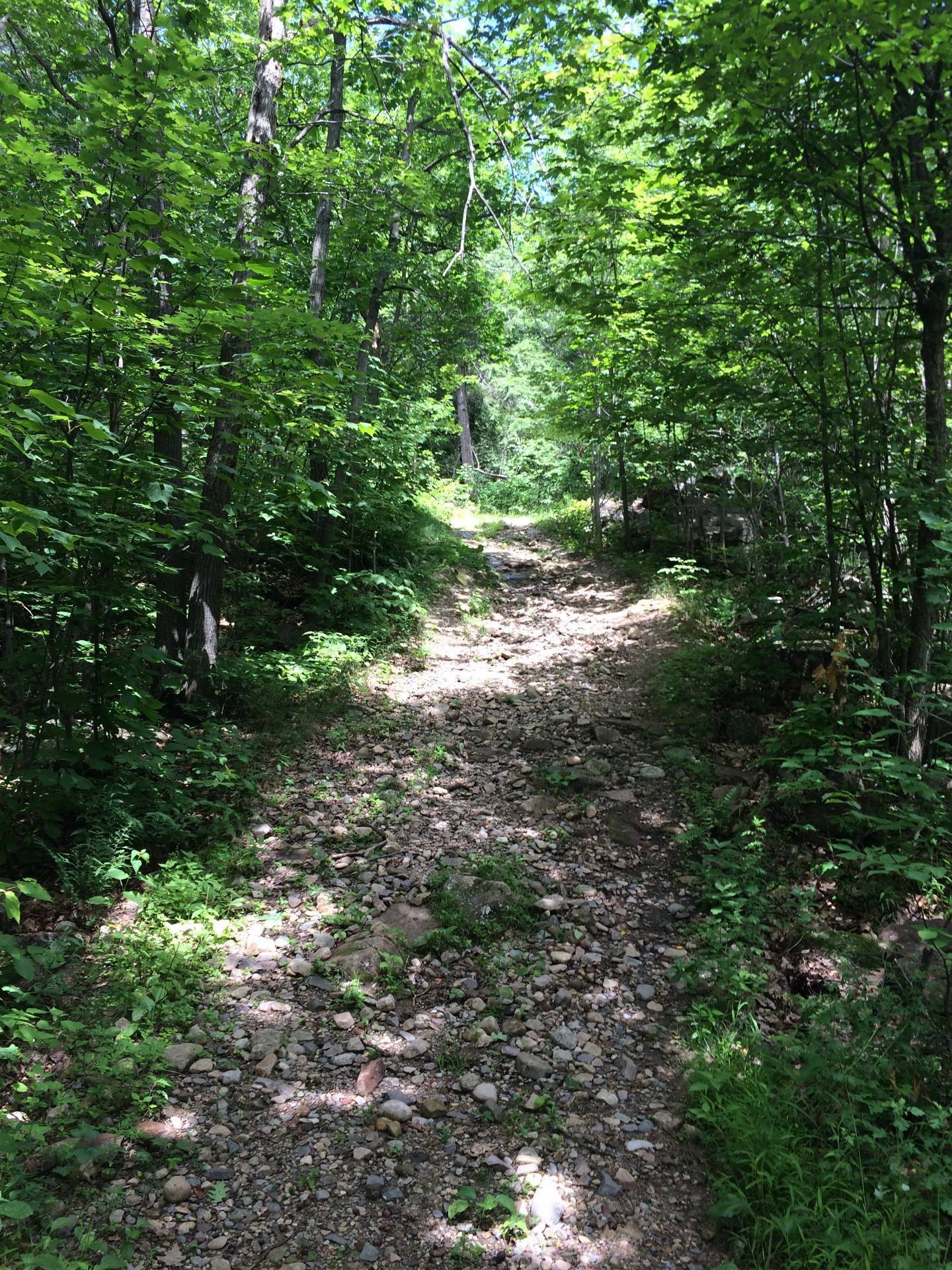 Boisé - 168 Ch. St-Georges, Rigaud, QC