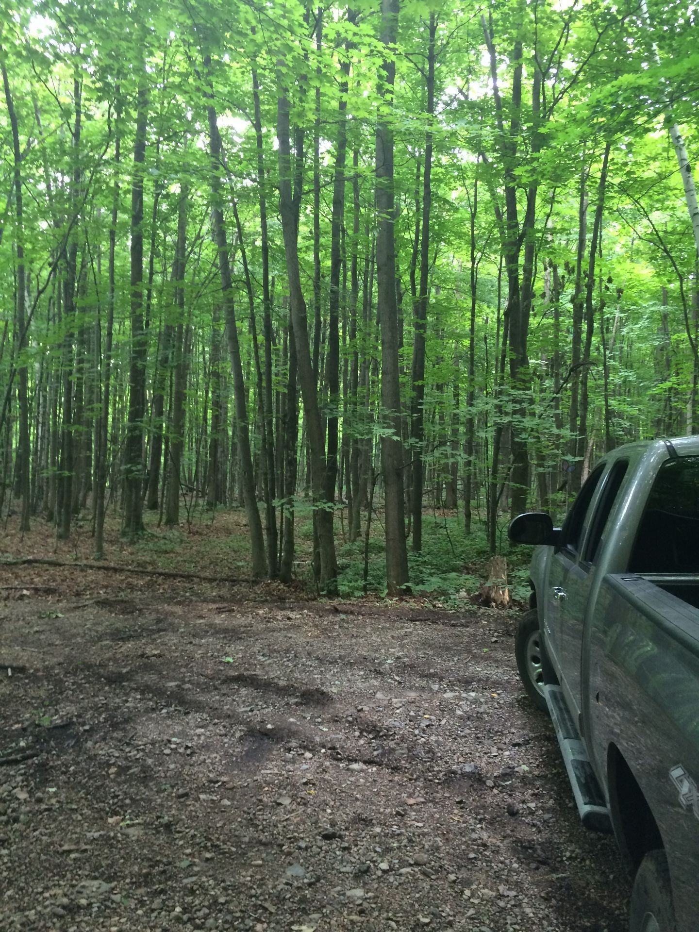 Terre à bois - 168 Ch. St-Georges, Rigaud, QC