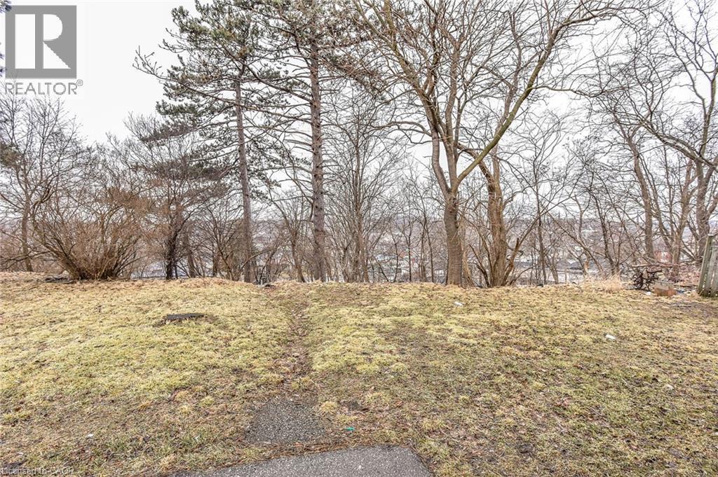 20 Elliott Street, Cambridge, ON - Outdoor With View