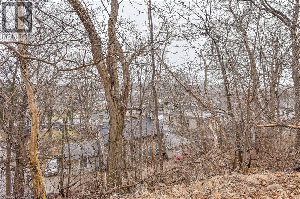 20 Elliott Street, Cambridge, ON - Outdoor With View