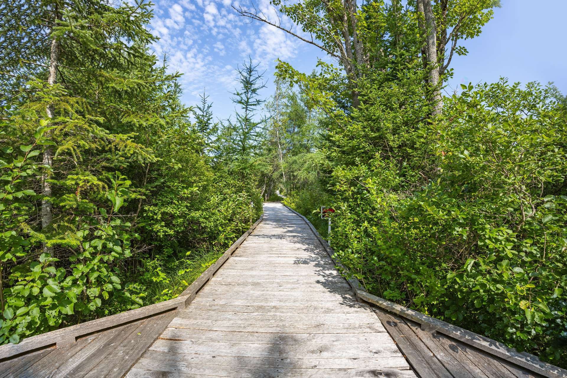 Terre/Terrain - Ch. Adélard-Lehoux, Beaulac-Garthby, QC