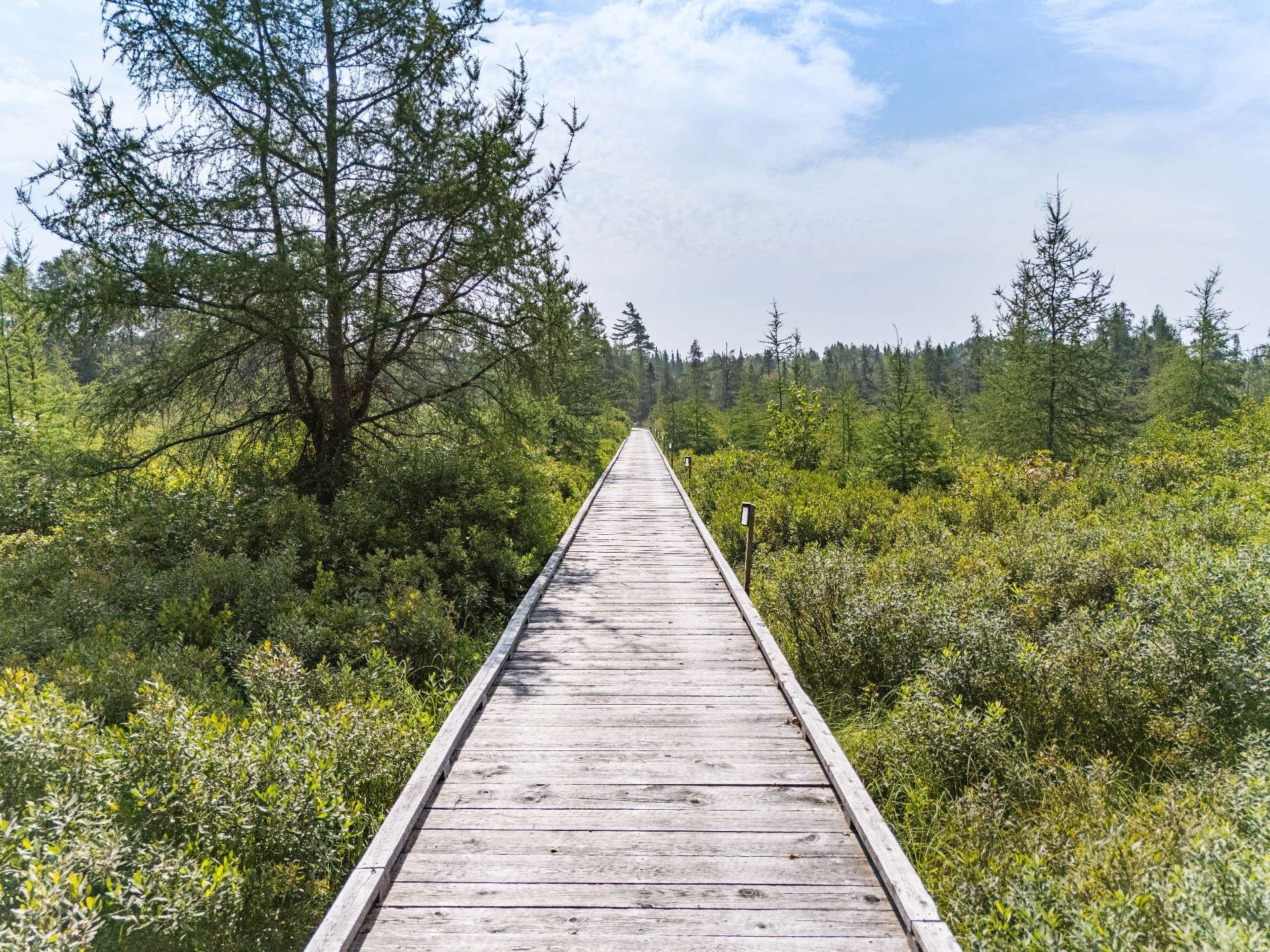Terre/Terrain - Ch. Adélard-Lehoux, Beaulac-Garthby, QC