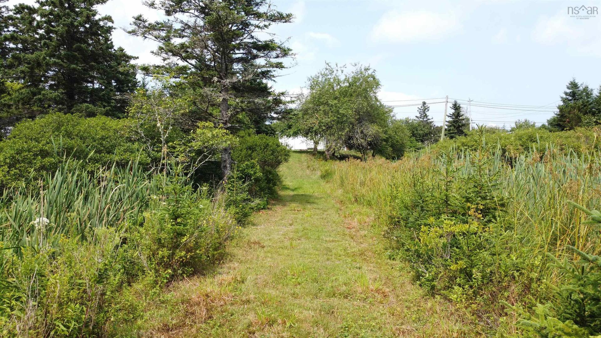 3138 Highway 320, D'Escousse, NS