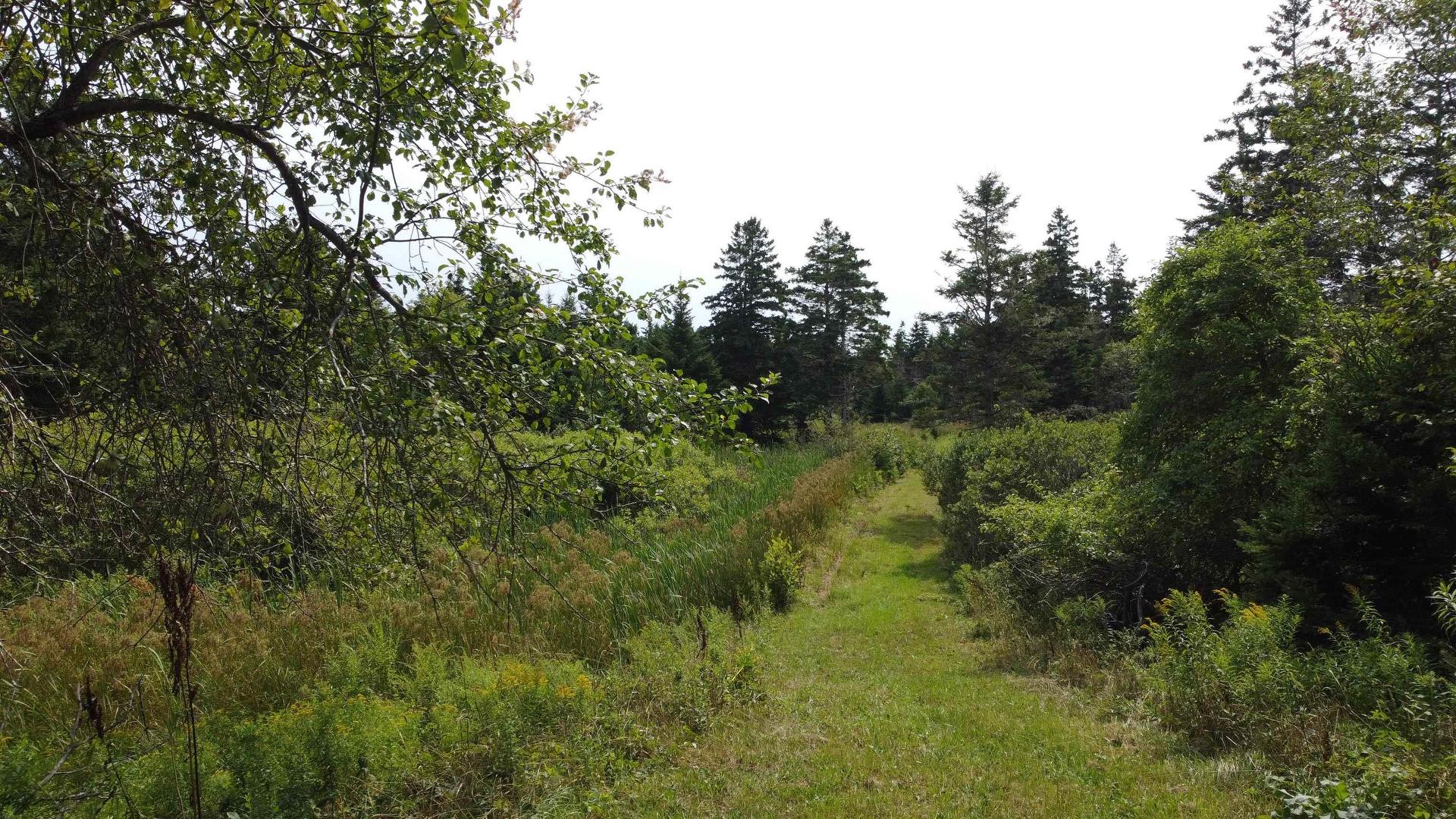 3138 Highway 320, D'Escousse, NS
