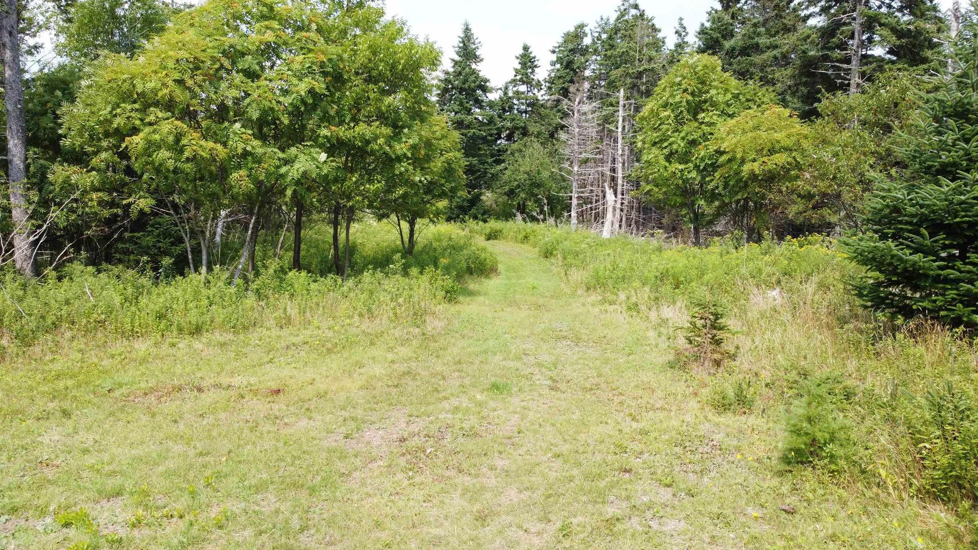 3138 Highway 320, D'Escousse, NS