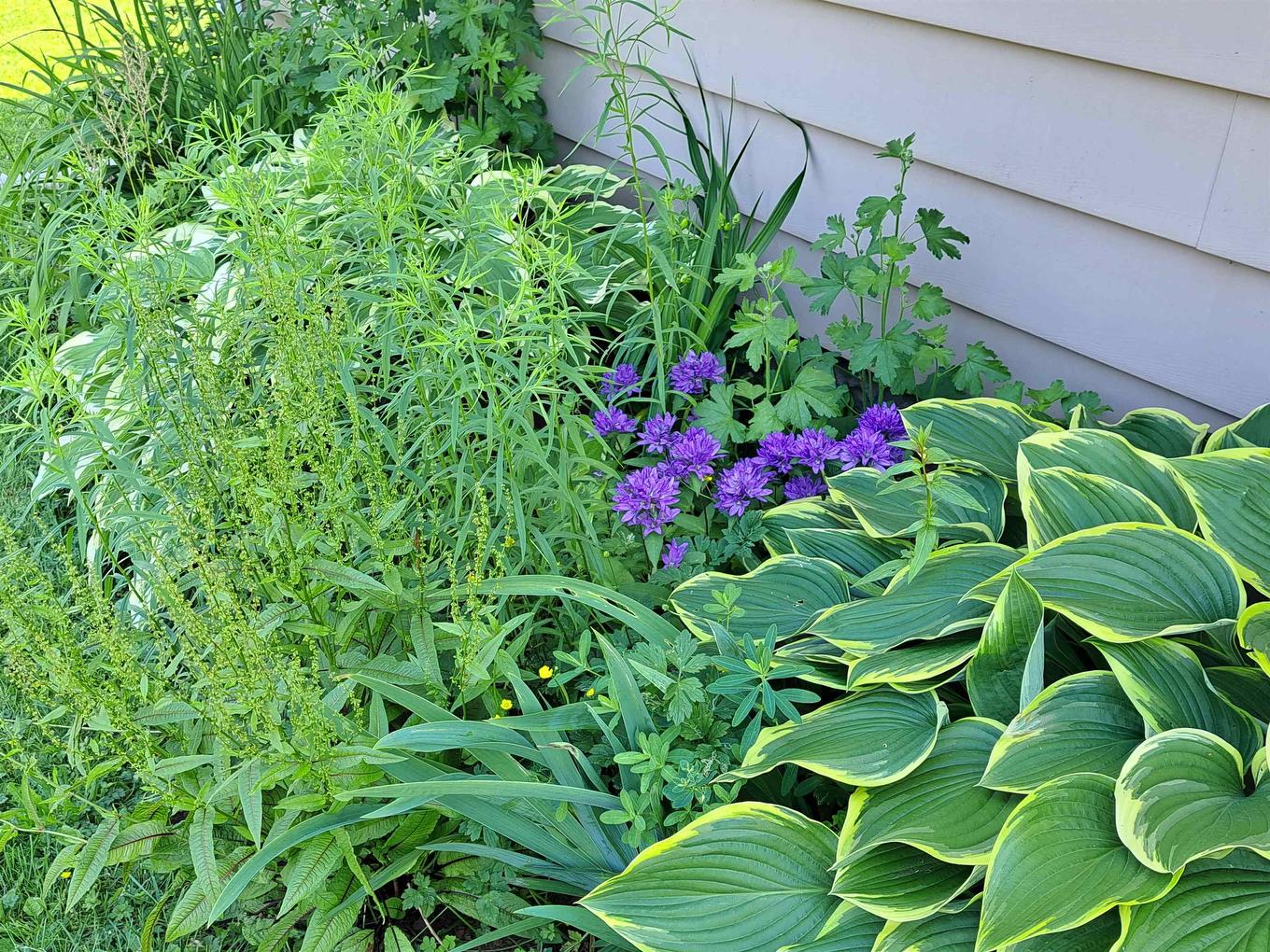 220 Clark Street, Summerside, PE