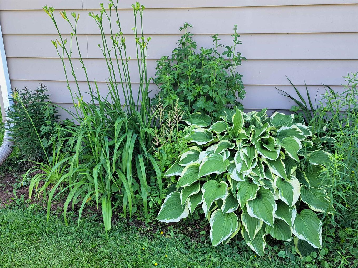 220 Clark Street, Summerside, PE