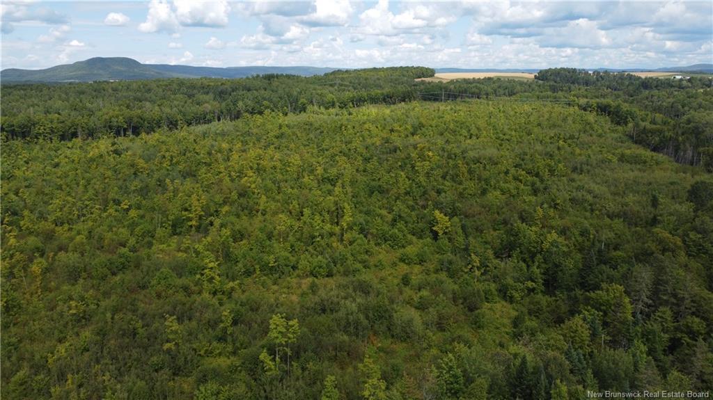 0 Beechwood Rd, Beechwood, NB