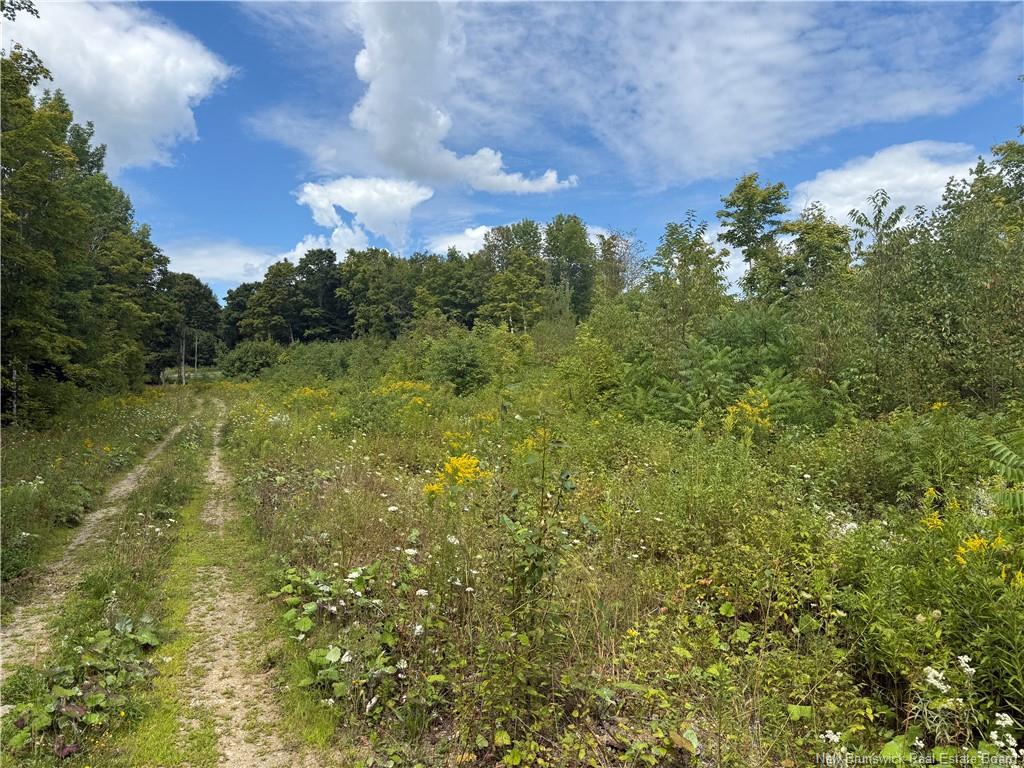 0 Beechwood Rd, Beechwood, NB