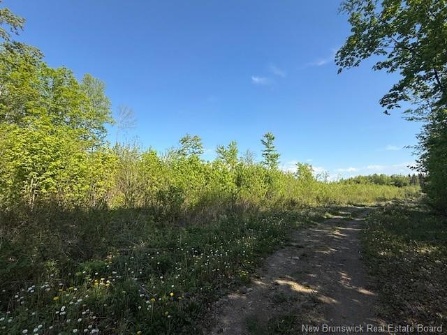 0 Beechwood Rd, Beechwood, NB