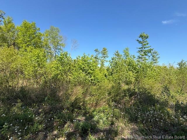 0 Beechwood Rd, Beechwood, NB