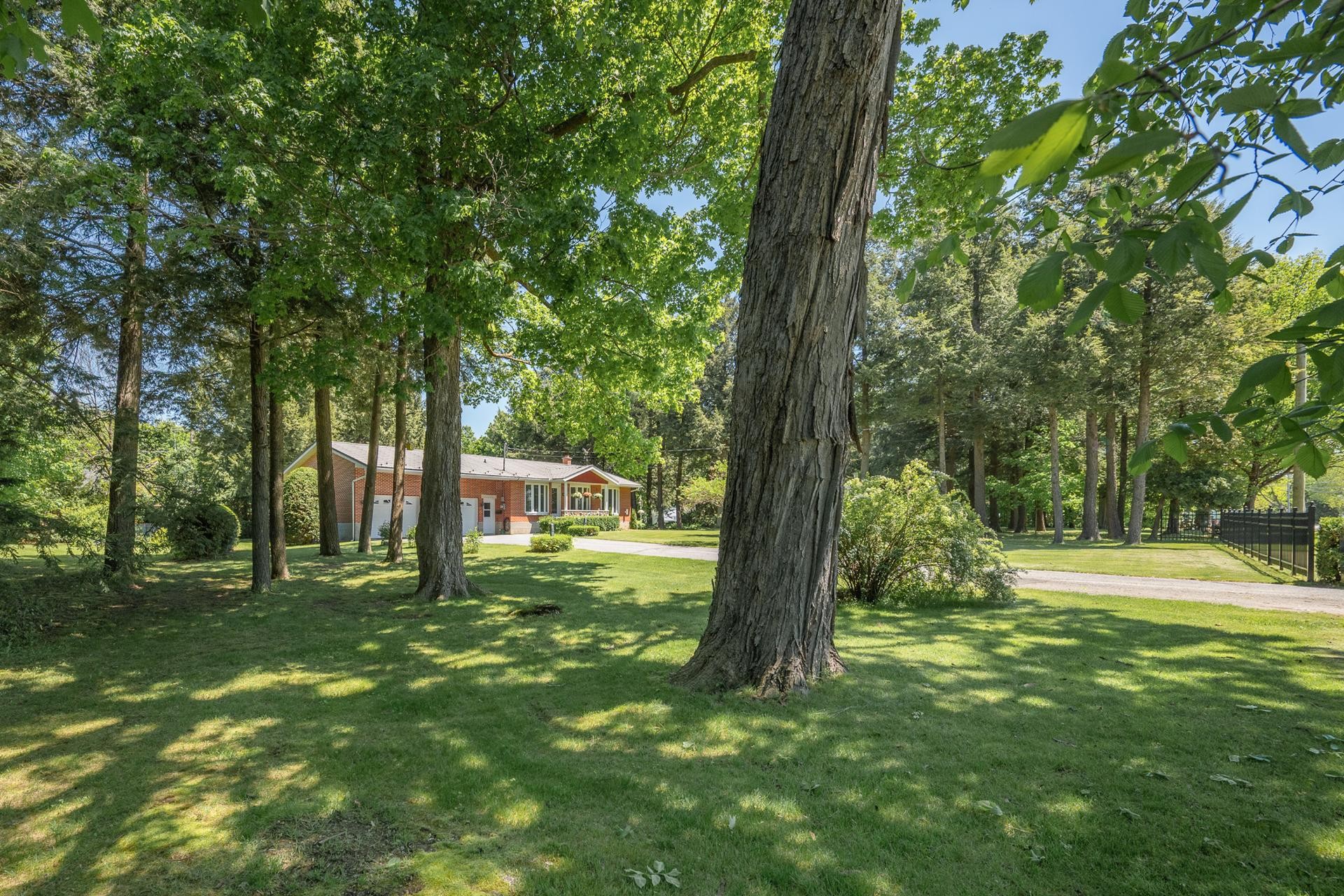 Terre/Terrain - 216 Route 202 E., Bedford - Canton, QC - Outdoor