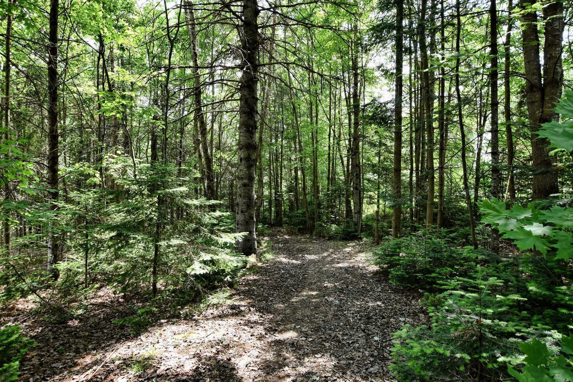 À construire - Ch. Cambria, Gore, QC