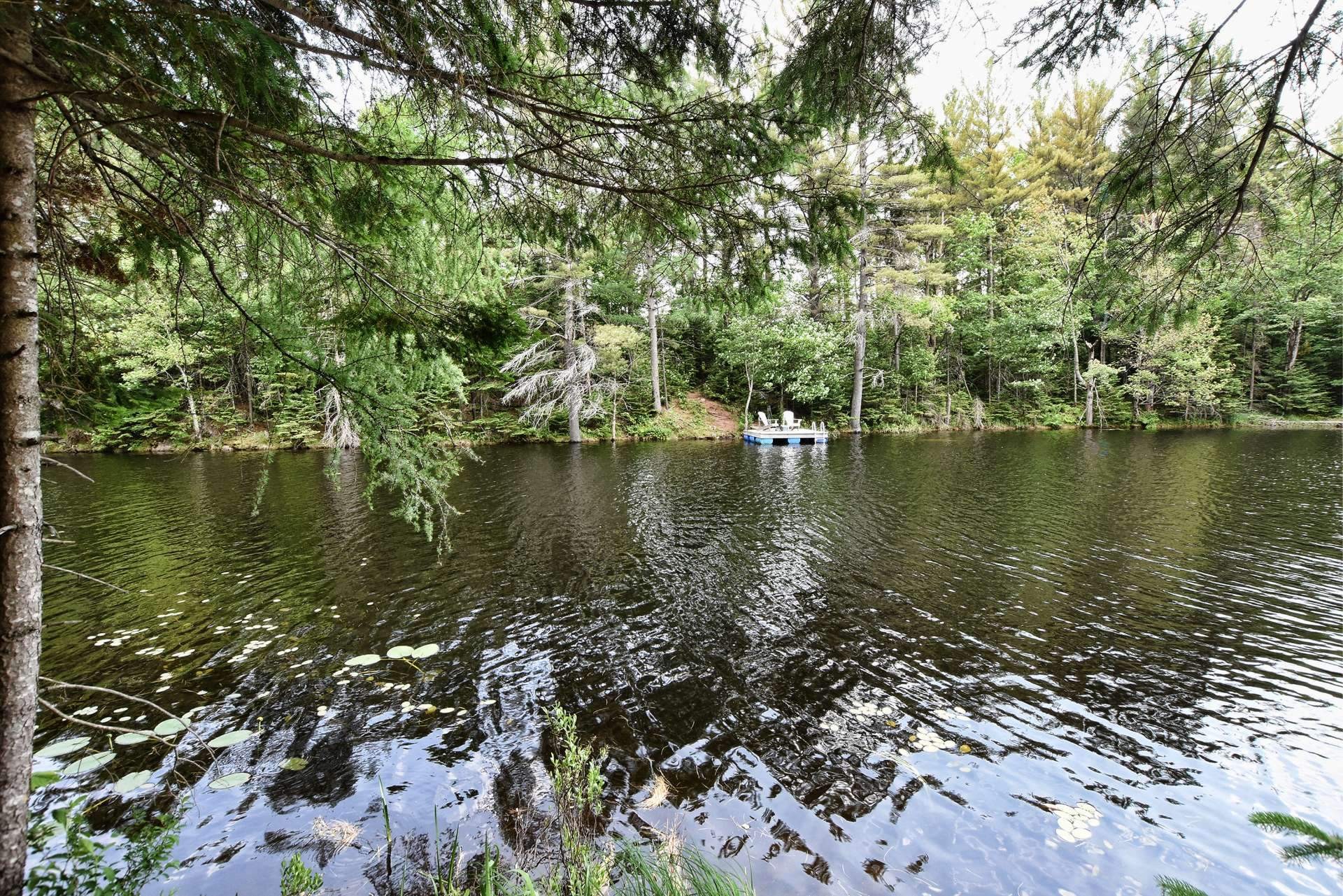 Accès au plan d'eau - Ch. Cambria, Gore, QC