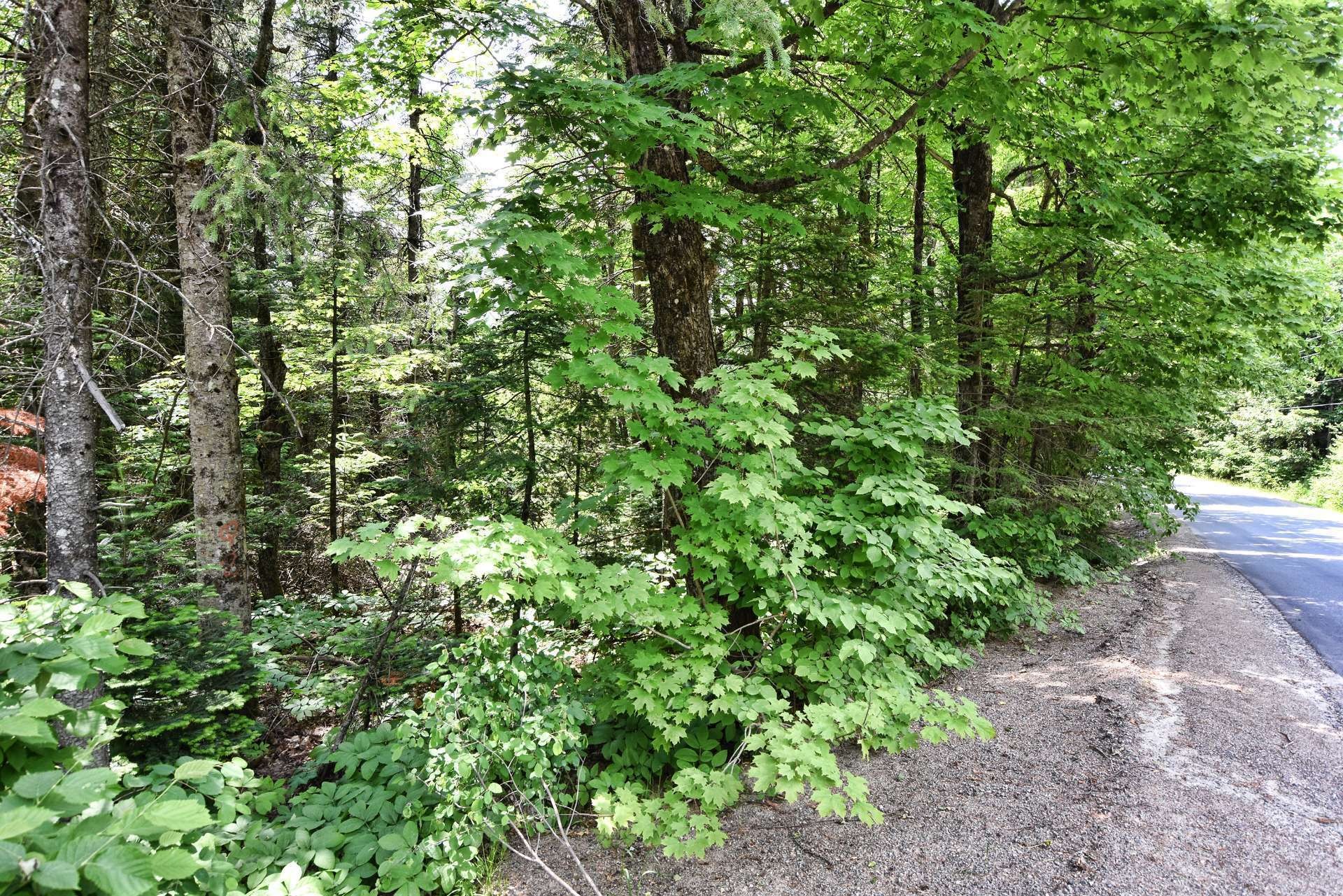 Accès au plan d'eau - Ch. Cambria, Gore, QC