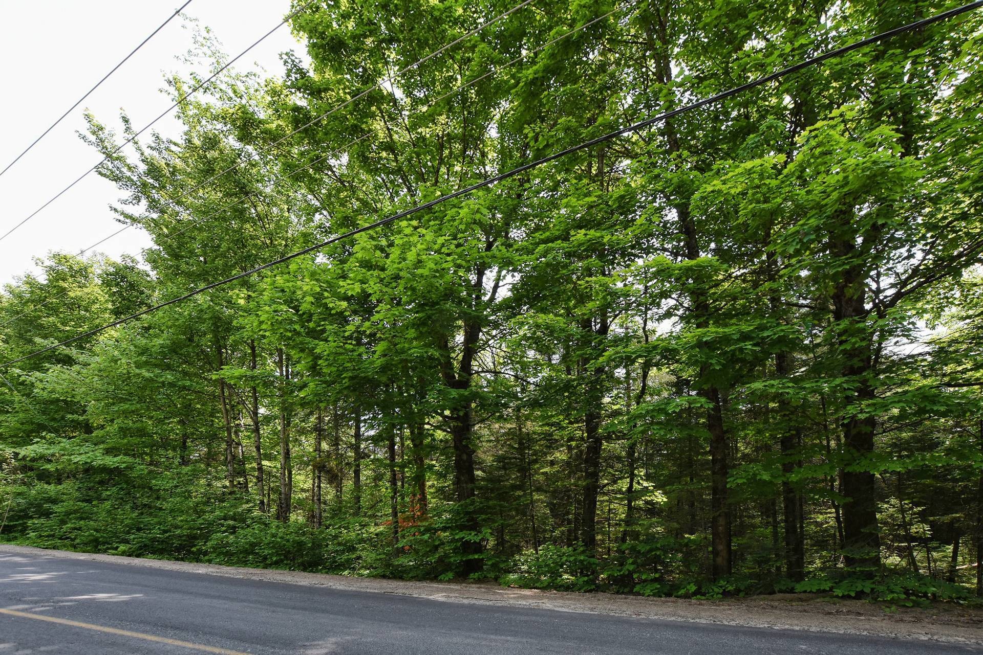 À construire - Ch. Cambria, Gore, QC