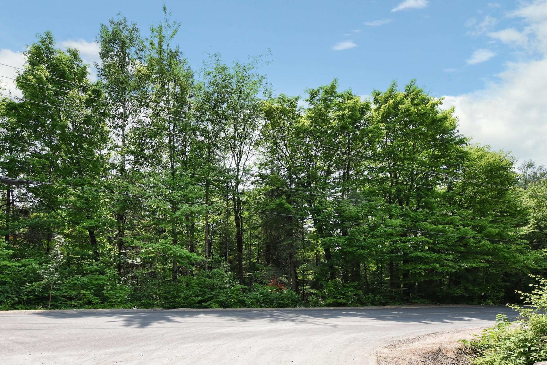 À construire - Ch. Cambria, Gore, QC